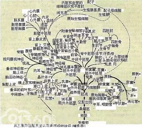 1483511820350709.jpg 微信1.jpg