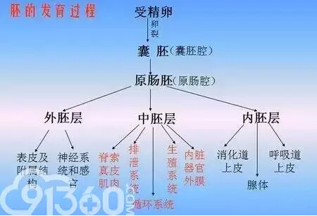 1483511830733175.jpg 微信2.jpg