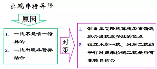 QQ截圖20170329125900.jpg