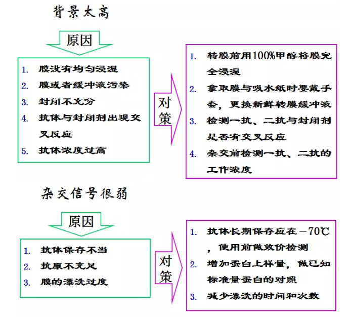 QQ截圖20170329125852.jpg