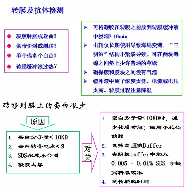 QQ截圖20170329125844.jpg