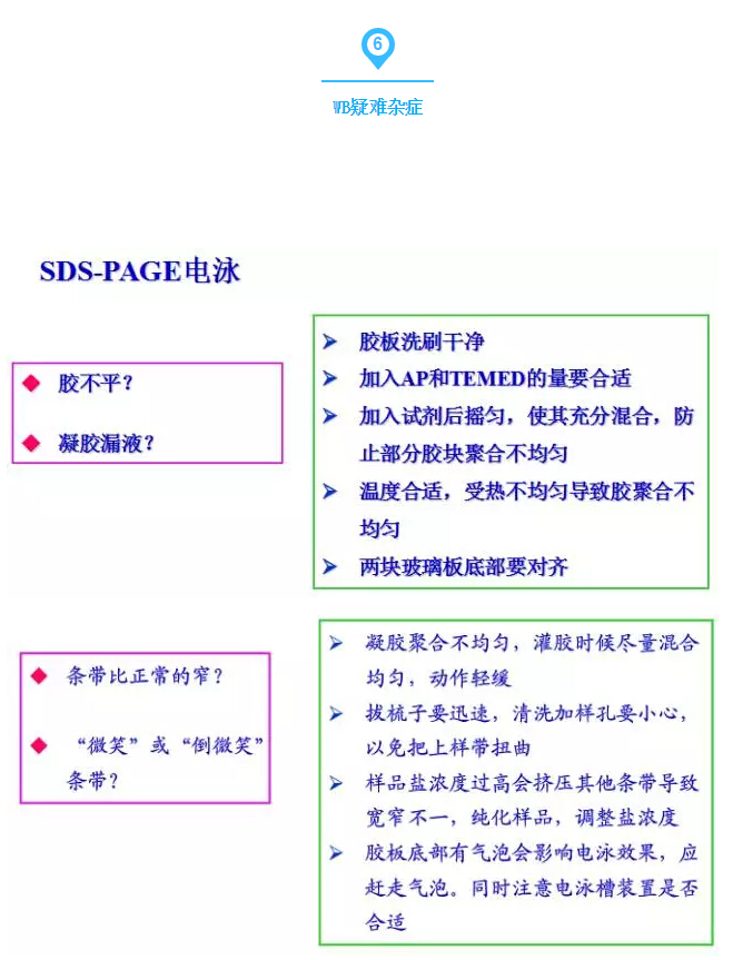 QQ截圖20170329125836.jpg