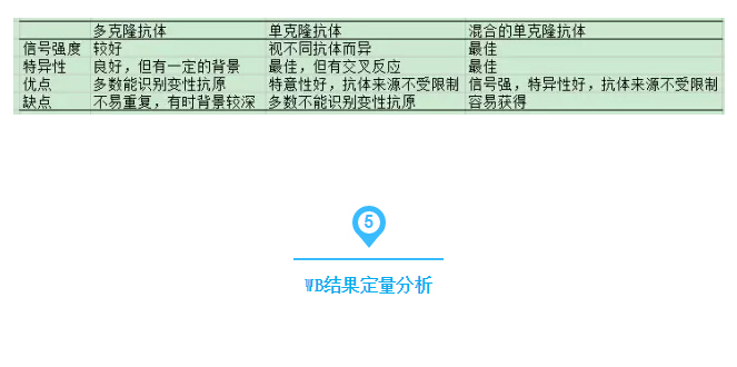 QQ截圖20170329125733.jpg