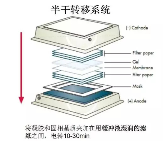 QQ截圖20170329125719.jpg
