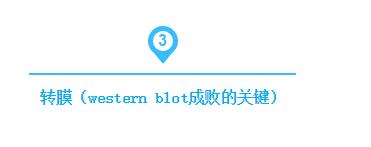 QQ截圖20170329125654.jpg