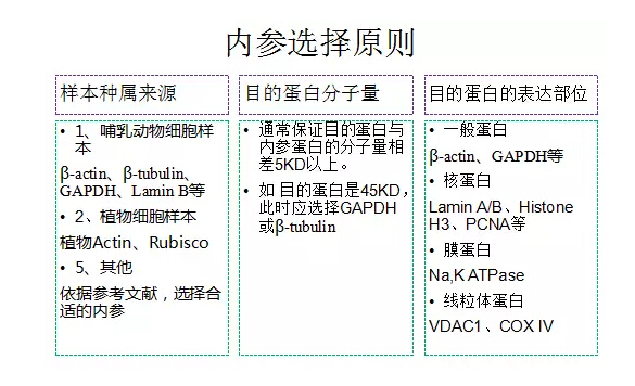 QQ截圖20170329125648.jpg