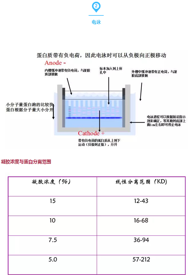 QQ截圖20170329125637.jpg