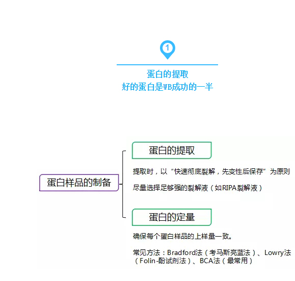 QQ截圖20170329125621.jpg