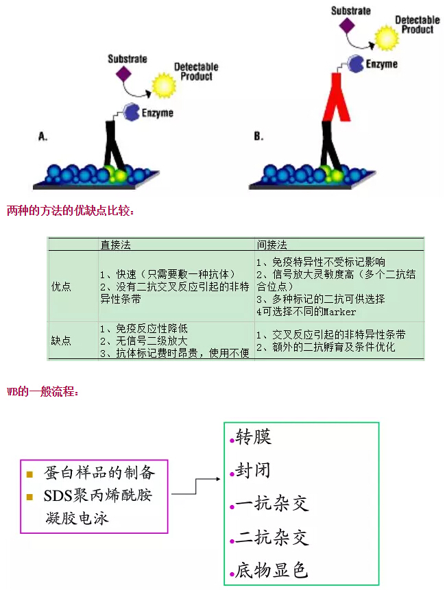 QQ截圖20170329125610.jpg