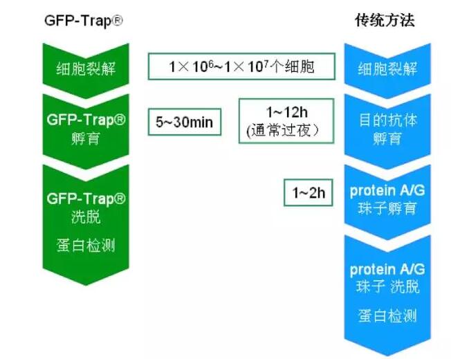 QQ截圖20170601175557.jpg