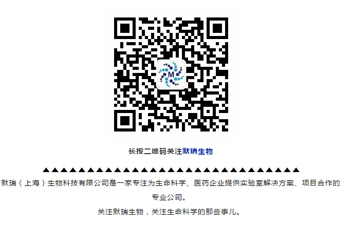 QQ截圖20170630085711.jpg