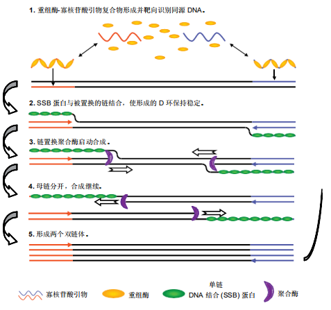 圖片1.png