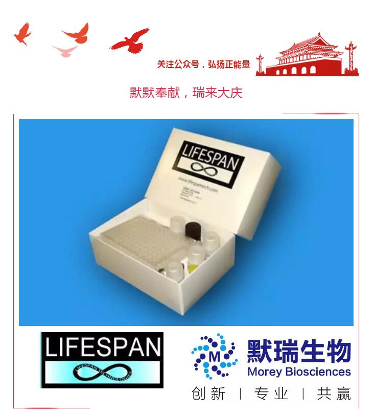 QQ截圖20190823114226.jpg