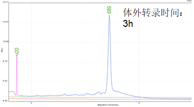 圖片2.png
