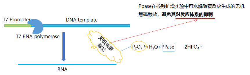 圖片6.png