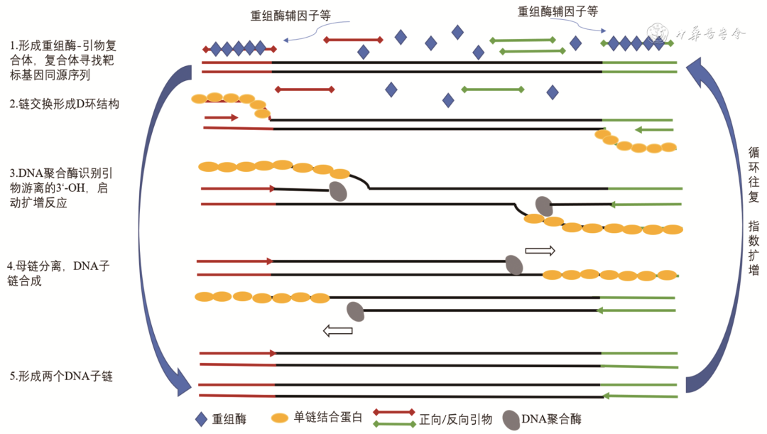 圖片1.png