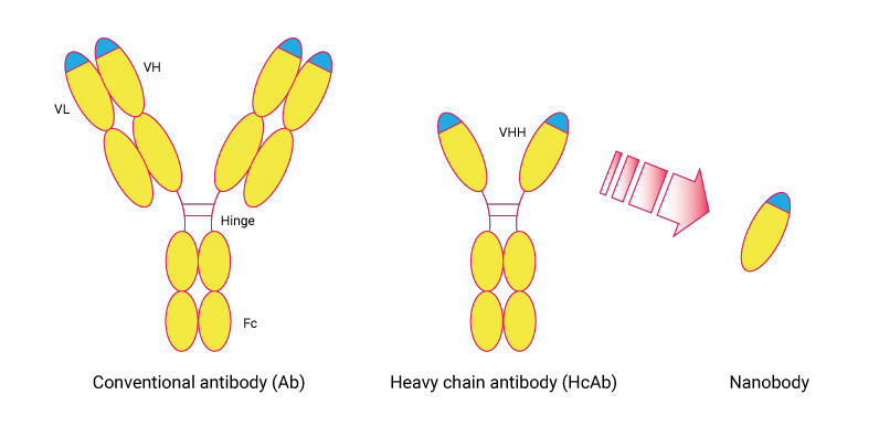 1683790020362873.png 圖片1.png