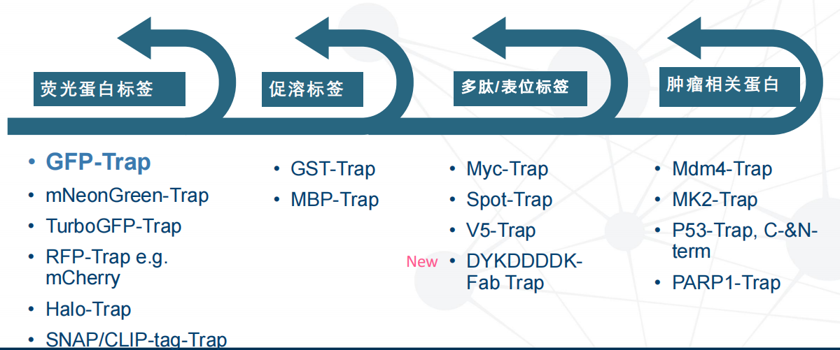 1689747991142178.png 圖片6.png