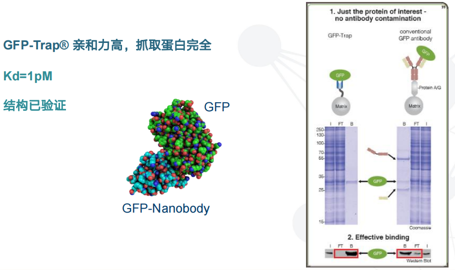 1689748019876280.png 圖片8.png