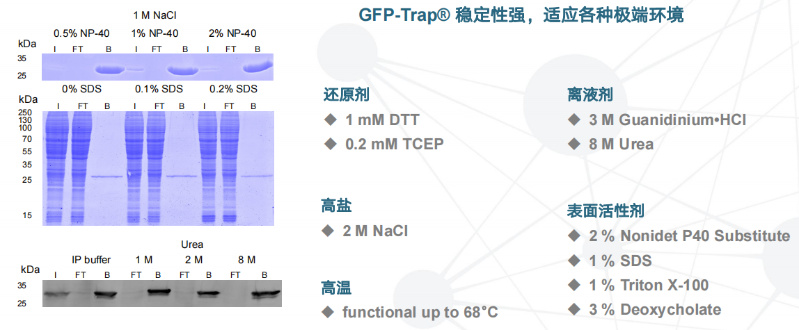 1689748029198882.png 圖片9.png