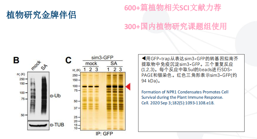 1689748066176442.png 圖片13.png